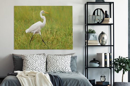 Tableau sur toile Grande aigrette marchant dans une pelouse - 120x90 cm - Décoration murale