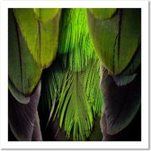 Trend24 - Canvas Schilderij - Limoenkleurige Veren - Schilderijen - Dieren - 30x30x2 cm - Groen