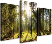 Trend24 - Canvas Schilderij - Zonnige Dag In Het Bos - Drieluik - Landschappen - 150x100x2 cm - Groen