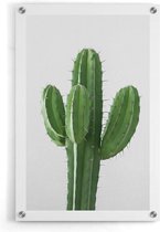 Walljar - Cactus - Muurdecoratie - Plexiglas schilderij