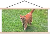 Porte-affiche avec affiche - Affiche scolaire - Chat - Rouge - Tomcat - Filles - Enfants - Garçons - Enfant - 150x75 cm - Lattes vierges