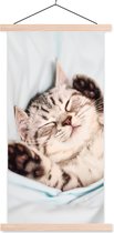 Posterhanger incl. Poster 60x120 cm - Schoolplaat - Kitten - Bed - Poten - Meisjes - Kinderen - Jongens - Kind - Textielposter - Blanke latten