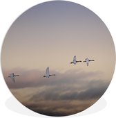 WallCircle - Wandcirkel ⌀ 150 - Zwaan - Vliegen - Wolken - Ronde schilderijen woonkamer - Wandbord rond - Muurdecoratie cirkel - Kamer decoratie binnen - Wanddecoratie muurcirkel - Woonaccessoires