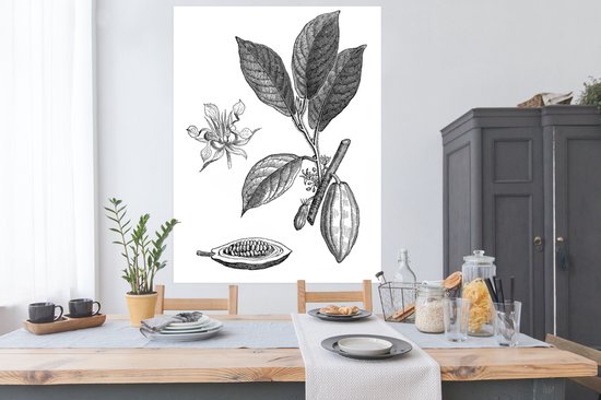 Une illustration noir et blanc d'un poster de plant de cacao 120x160 cm - Tirage photo sur Poster (décoration murale salon / chambre) XXL / Groot format!