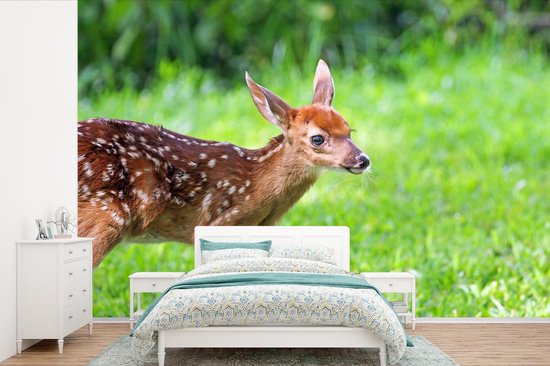 Papier peint photo peint photo vinyle - Jeune cerf court sur l'herbe largeur 420 cm x hauteur 280 cm - Tirage photo sur papier peint (disponible en 7 tailles)