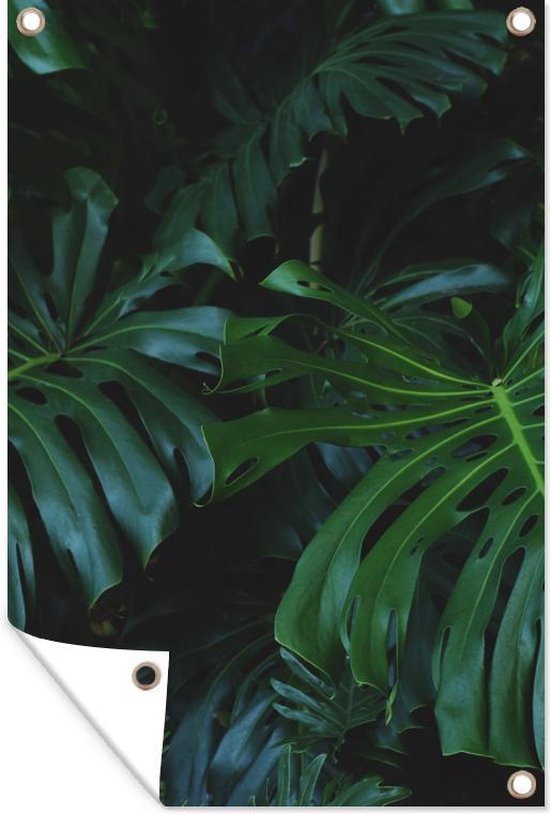 Posters de jardin Jungle - Vert - Feuilles - 60x90 cm - Toile de jardin