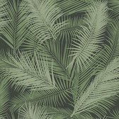 Eden palm zwart/metallic groen - J98234