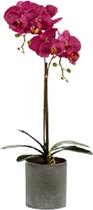 Ibergarden Kunstplant Orchidee 51 Cm Paars/grijs