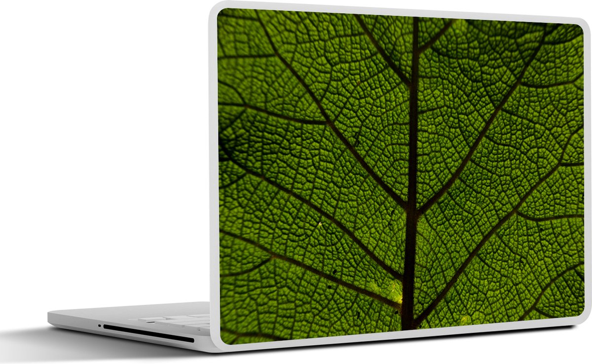 Afbeelding van product SleevesAndCases  Laptop sticker - 14 inch - Blad nerven
