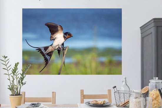 Stickers muraux - Vogel - Zwaluw - Mouches - 120x80 cm - Film adhésif