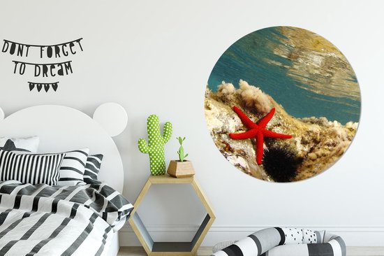 WallCircle - Wall Circle - Wall Circle Indoor - Étoile de Mer - Corail - Mer - 140x140 cm - Décoration murale - Peintures Ronds