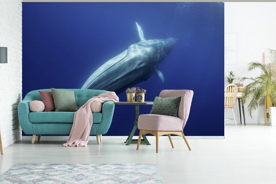 Papier peint photo peint photo vinyle - Baleine bleue sous la surface de l'eau largeur 330 cm x hauteur 220 cm - Tirage photo sur papier peint (disponible en 7 tailles)