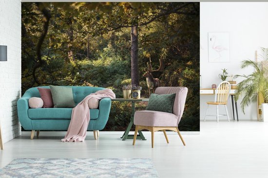 Papier peint Papier peint photo en vinyle - Cerf marchant dans une forêt en automne largeur 360 cm x hauteur 260 cm - Tirage photo sur papier peint (disponible en 7 tailles)