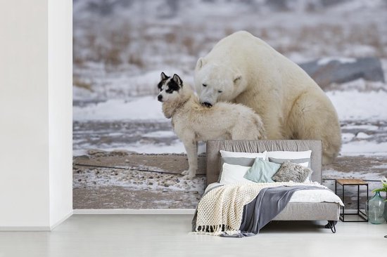 Amitié spéciale entre chien et ours polaire 360x240 cm