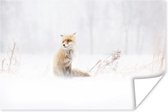 Poster Vos - Winter - Sneeuw - 60x40 cm