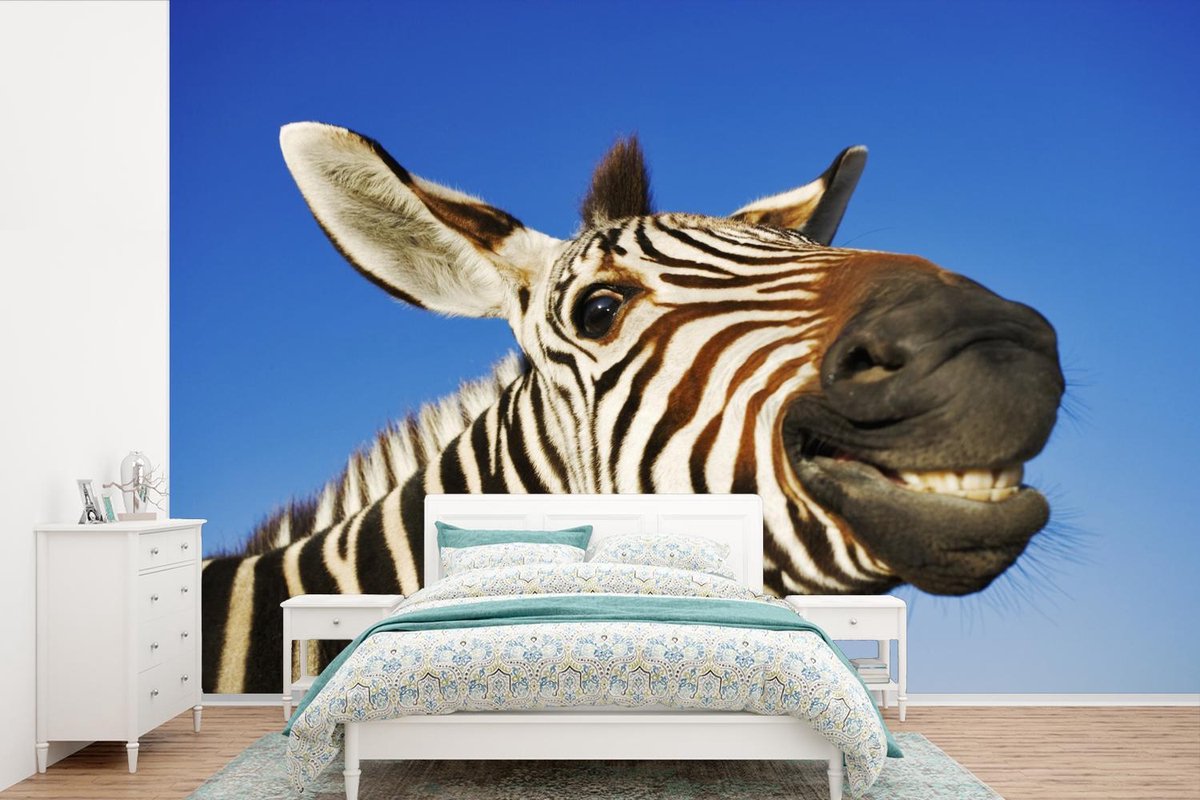 Behang - Fotobehang Zebra - Grappig - Kinderen - Kids - Jongens - Meisjes - Breedte 360 cm x hoogte 240 cm