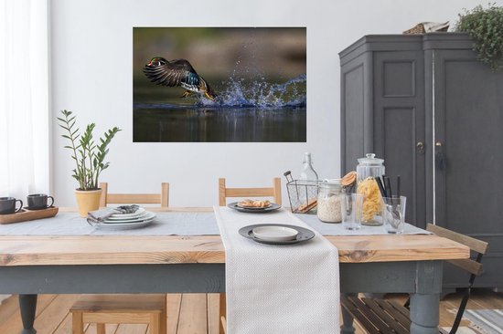 Affiche Canard - Water - Ressorts - 120x80 cm