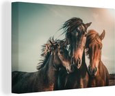Canvas Schilderij Paarden - Close-up - Zon - 60x40 cm - Wanddecoratie