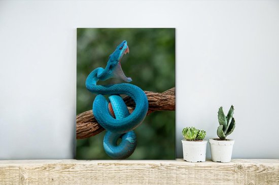 Affiche Serpent bleu vif à gueule ouverte - 30x40 cm