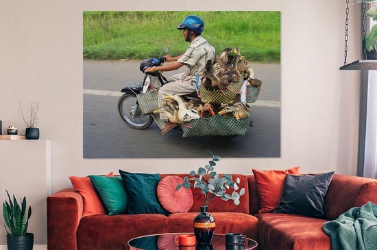 Canards en moto 160x120 cm - Tirage photo sur toile (Décoration murale salon / chambre) / Animaux domestiques Peintures sur toile XXL / Groot format!