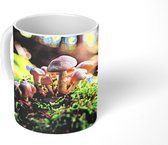 Mok - Close-up van een aantal paddenstoelen - 350 ML - Beker