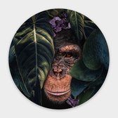 Artistic Lab Poster - Muurcirkel Jungle Chimpanzee Round Dibond - Multicolor