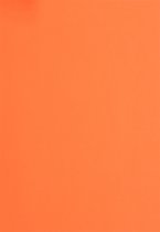 Vaessen Creative Foam - 2mm - 10 stuks - A4 - Neon oranje