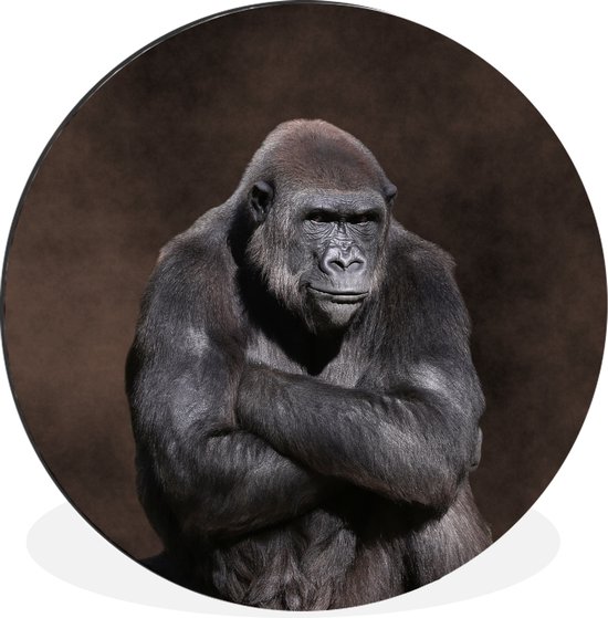WallCircle - Wandcirkel - Muurcirkel - Een portret van een gorilla met zijn handen over elkaar - Aluminium - Dibond - ⌀ 60 cm - Binnen en Buiten