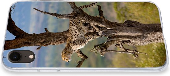 Coque iPhone XR - Léopard - Arbre - Animal - Siliconen