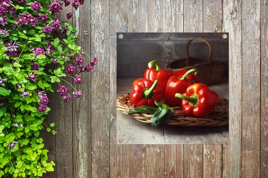 Posters de jardin Quatre poivrons rouges sur un panier en osier - 50x50 cm - Toile jardin - Affiche extérieure