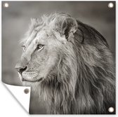 Affiche de Jardin Lion - Animaux sauvages - Zwart - 200x200 cm - Toile jardin - Affiche extérieure