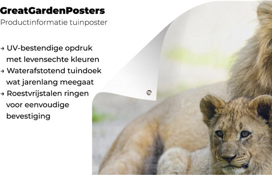 Affiche de clôture Lion - Cub - Portrait - 200x100 cm - Toile de jardin