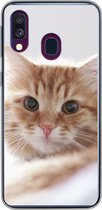 Coque Samsung Galaxy A40 - Chat - Rouge - Lit - Siliconen