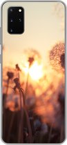 Geschikt voor Samsung Galaxy S20 Plus hoesje - Paardenbloem - Zonsondergang - Lente - Siliconen Telefoonhoesje