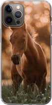 Geschikt voor iPhone 13 Pro hoesje - Paard - Licht - Landschap - Siliconen Telefoonhoesje