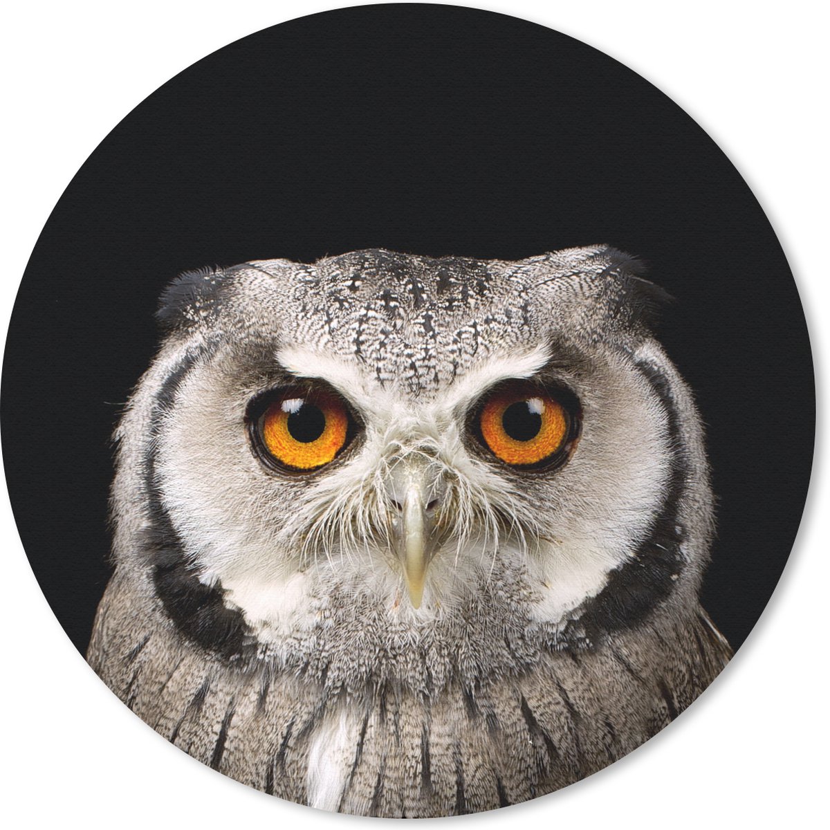 Muismat rond 30x30 cm - Mousepad Portret uil - Ronde muismatten