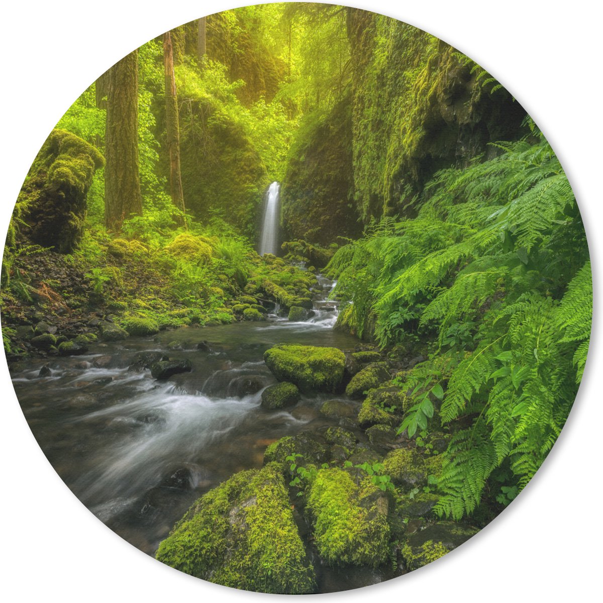 Muismat rond 50x50 cm - Mousepad Prachtig plaatje jungle - Ronde muismatten