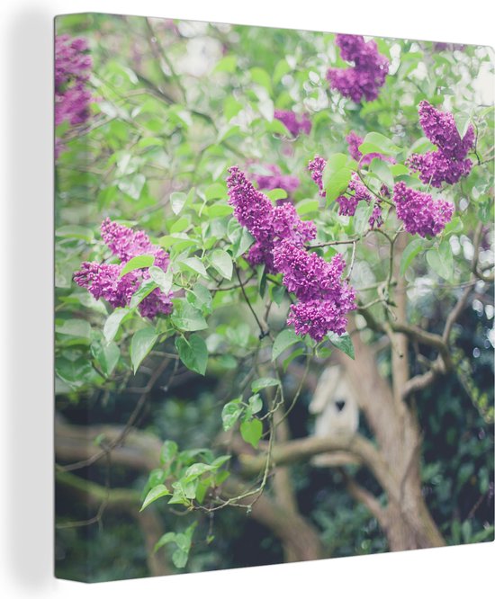 Lilas mauves dans un arbre Toile 90x90 cm - Tirage photo sur toile (Décoration murale salon / chambre)