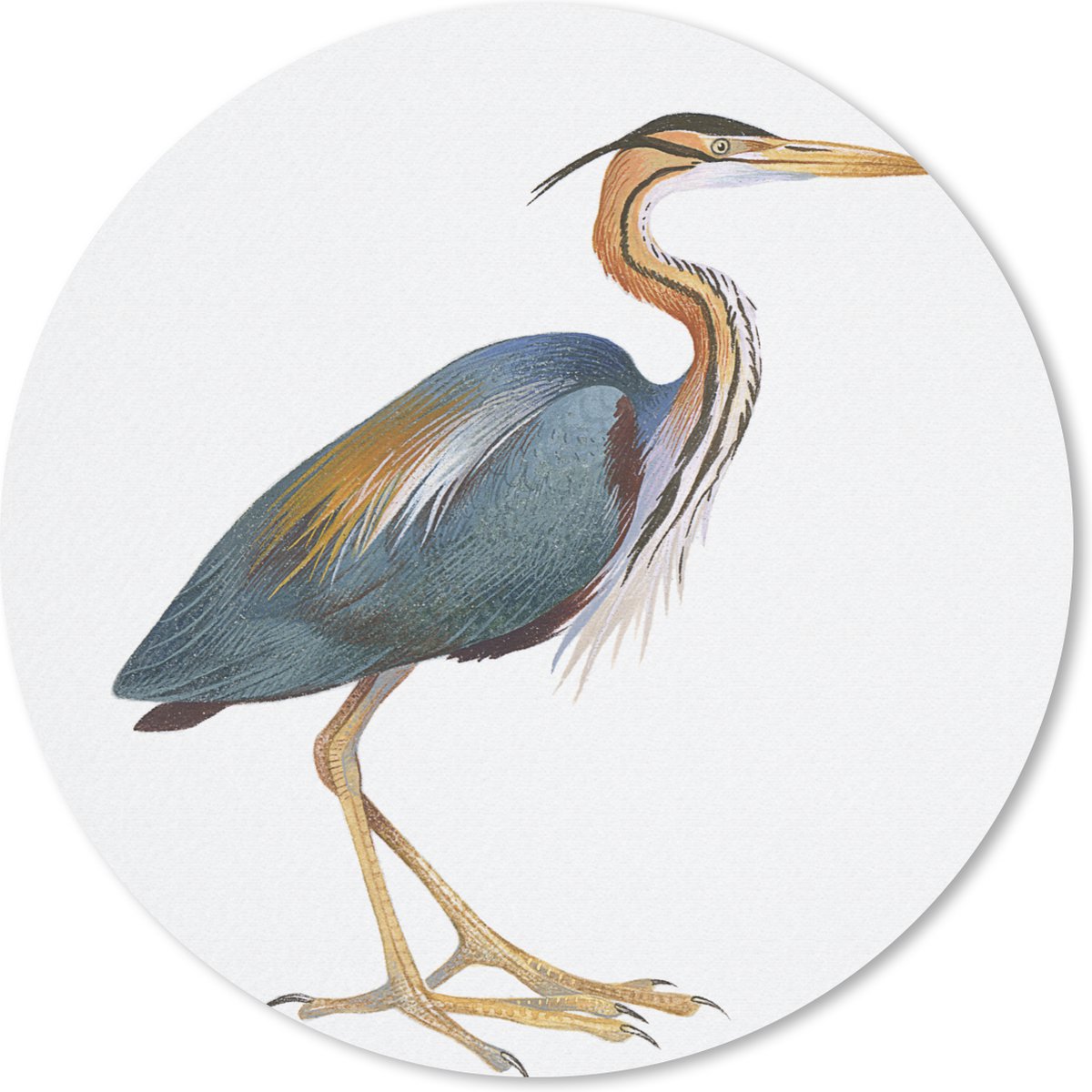 Muismat - Mousepad - Rond - Vogel - Veren - Waterverf - 30x30 cm - Ronde muismat