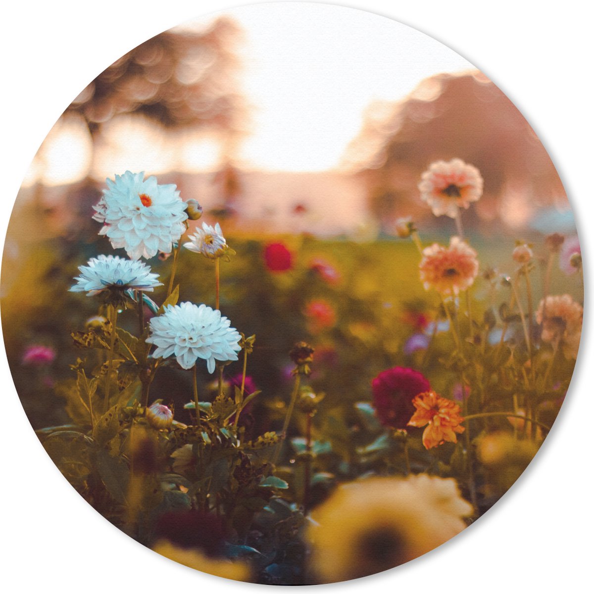 Muismat rond 30x30 cm - Mousepad Bloemen - Lente - Zon - Seizoenen - Ronde muismatten