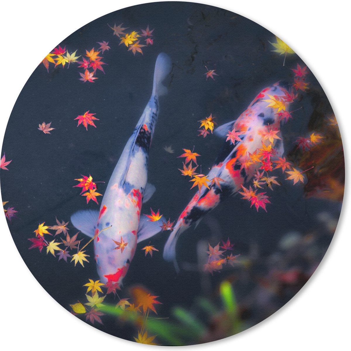 Muismat rond 50x50 cm - Mousepad Koi - Vis - Regenboog - Bladeren - Ronde muismatten