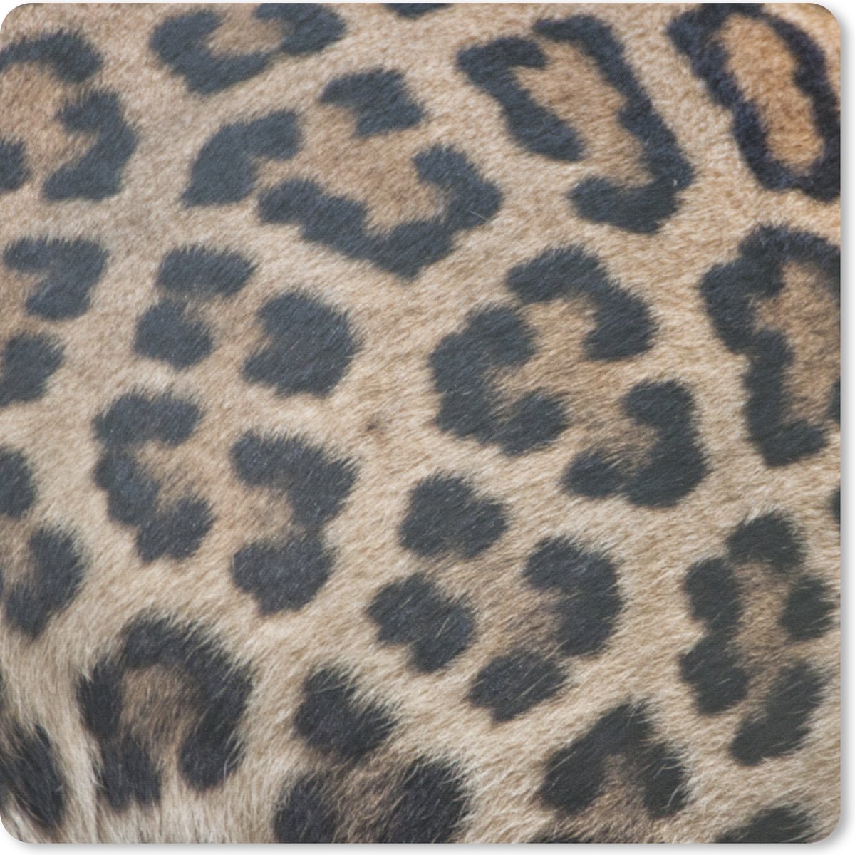 Muismat 30x30 cm - Mousepad Luipaard print - Muismatten