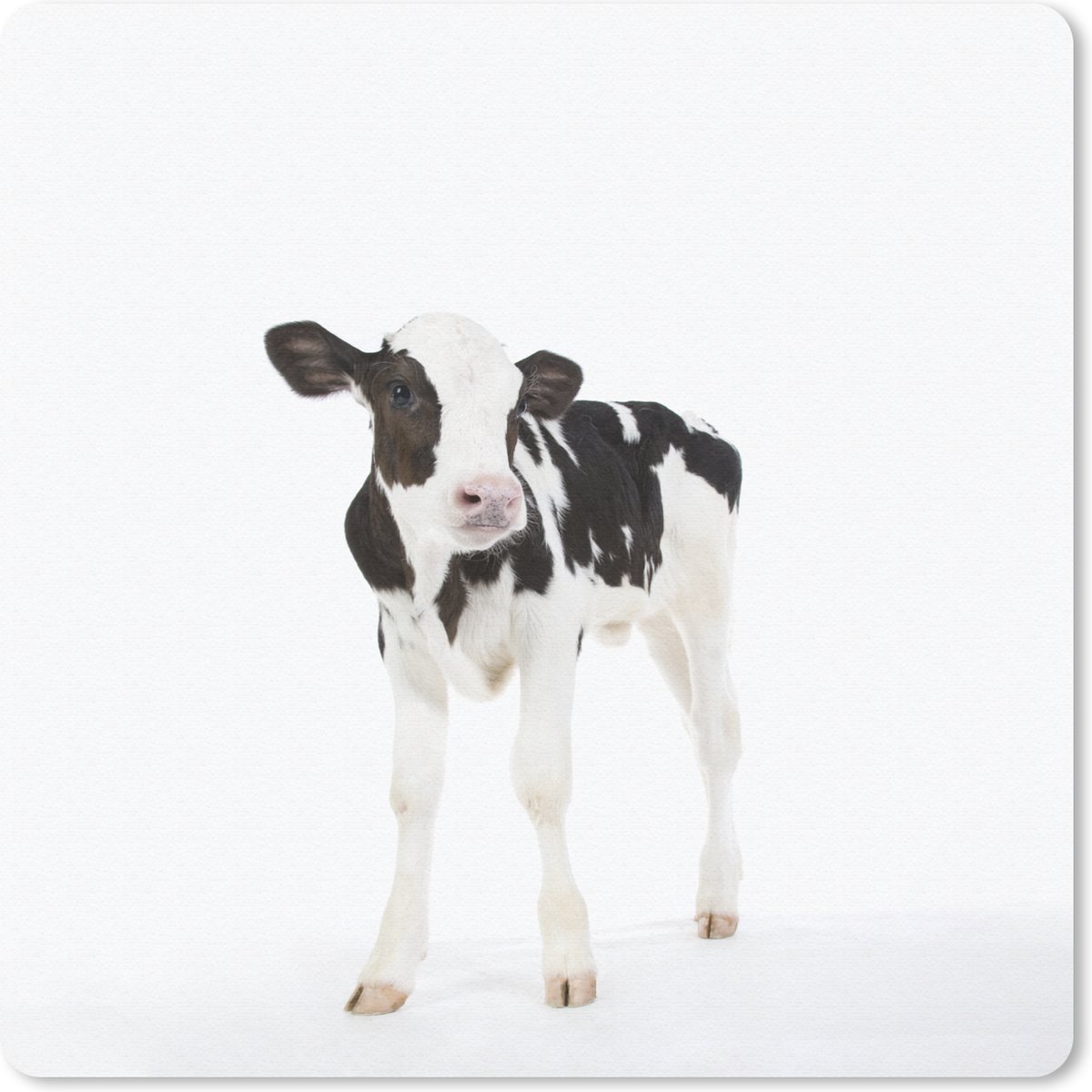 Muismat 20x20 cm - Mousepad Koe - Kalf - Wit - Dieren - Muismatten