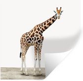 Muursticker kids - Sticker voor kinderen - Slaapkamer decoratie - Giraffe - Dieren - Witte achtergrond - Kinderen - Jongen - Meisje - 30x30 cm - Zelfklevend behangpapier - Stickerfolie
