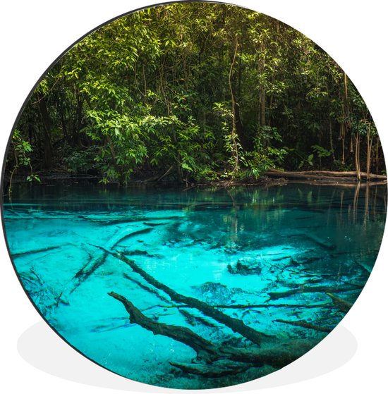 WallCircle - Wandcirkel - Muurcirkel - Helderblauw meer in de jungle - Aluminium - Dibond - ⌀ 90 cm - Binnen en Buiten