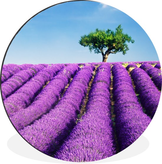 Wandcirkel - Muurcirkel - Een bloeiend paars lavendelveld op een zonnige dag - Aluminium - ⌀ - Binnen en Buiten