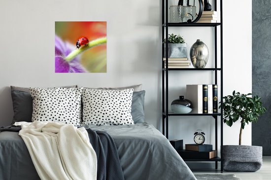 Affiche Coccinelle sur une fleur violette - 50x50 cm