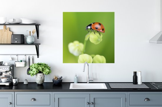 Poster Coccinelle du printemps - 75x75 cm