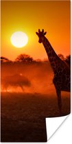 Poster Giraffe - Zon - Savanne - 20x40 cm