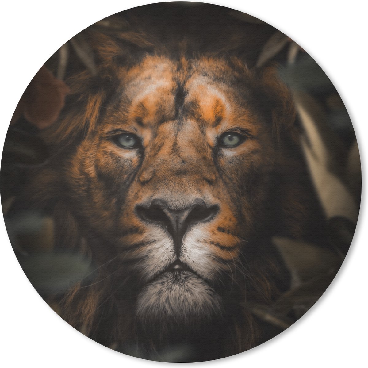 Muismat rond 30x30 cm - Mousepad Dieren - Leeuw - Jungle - Ronde muismatten